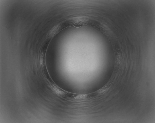 X0000051900138200507011517