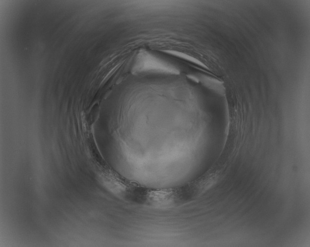 X0000051900139200507011517