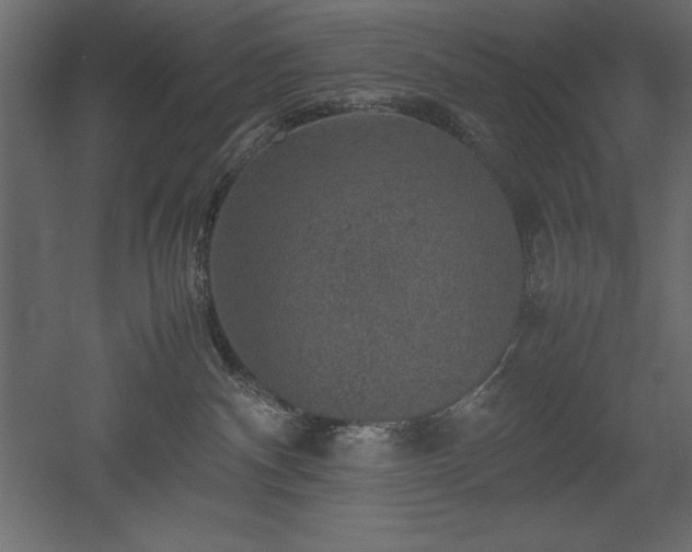 X0000051900140200507011517
