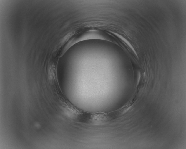 X0000051900141200507011517