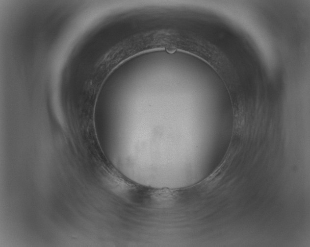X0000051900142200507011517
