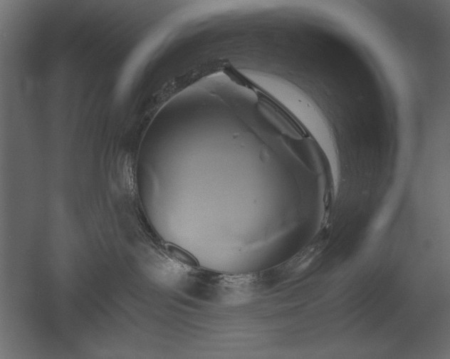 X0000051900143200507011517
