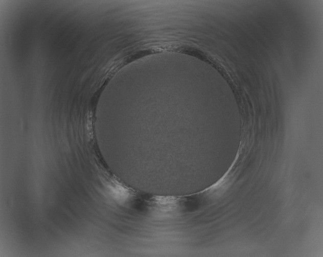 X0000051900144200507011517