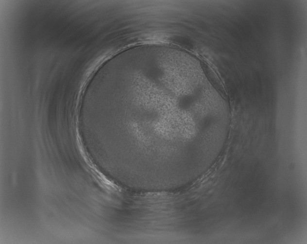 X0000051900145200507011516