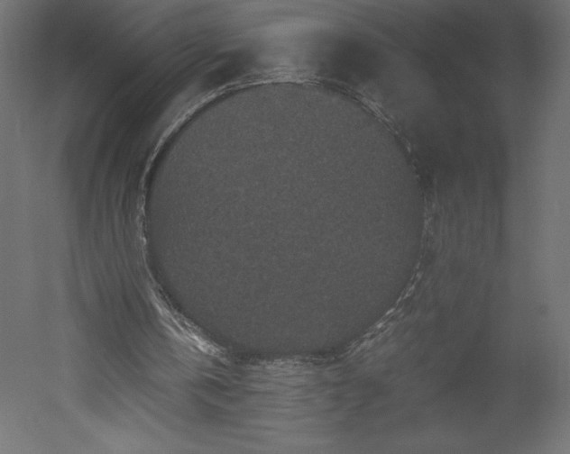 X0000051900146200507011516