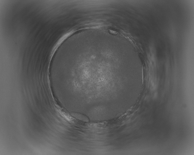 X0000051900147200507011516