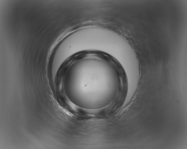 X0000051900150200507011516