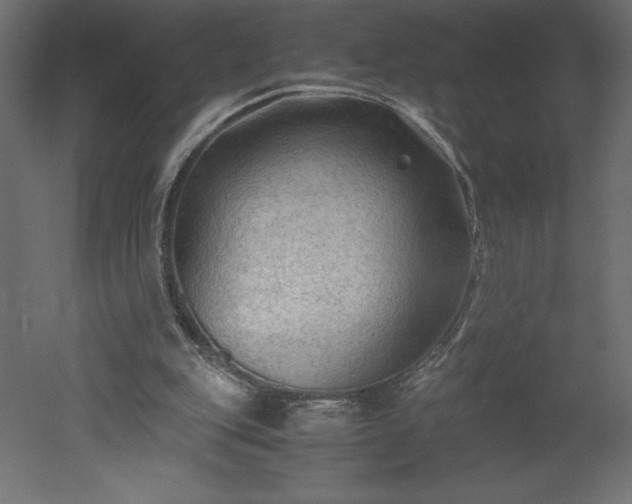 X0000051900151200507011516