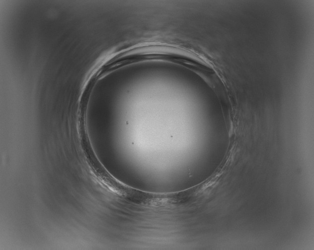 X0000051900152200507011516