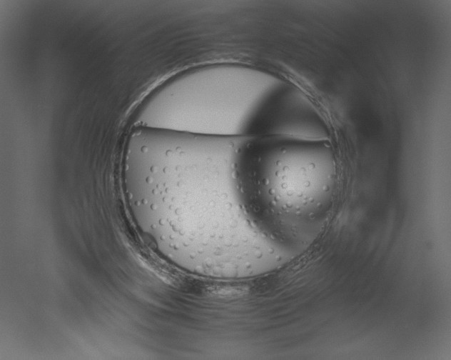 X0000051900155200507011516