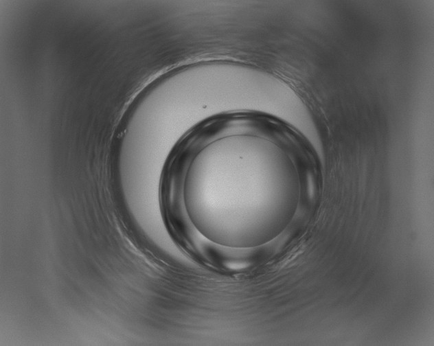 X0000051900156200507011516