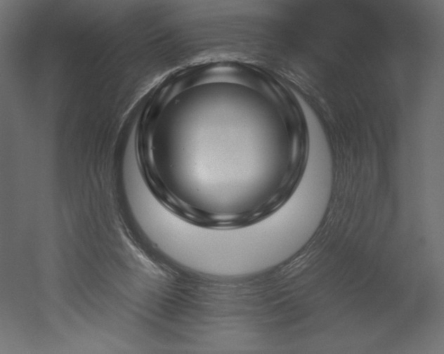 X0000051900160200507011516