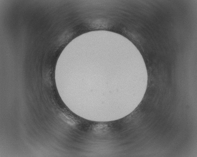 X0000051900162200507011516