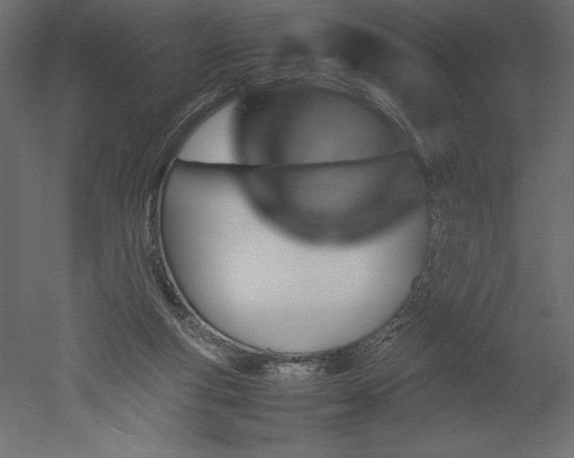 X0000051900163200507011516