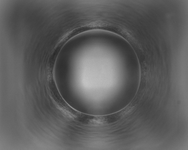 X0000051900164200507011516