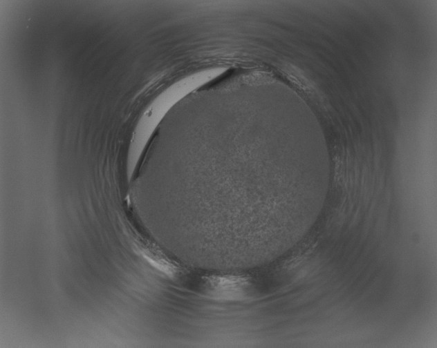 X0000051900165200507011516
