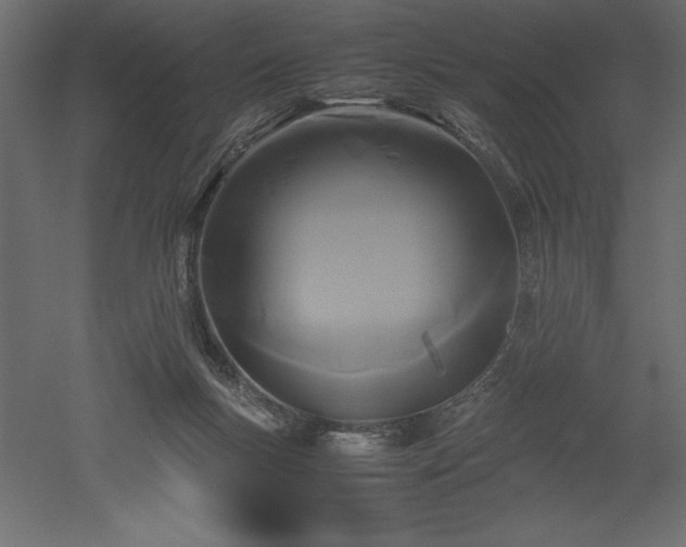 X0000051900167200507011517