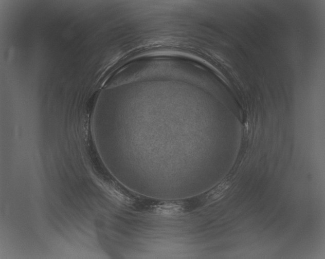 X0000051900168200507011517