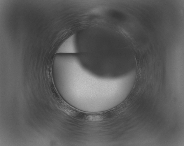 X0000051900169200507011517