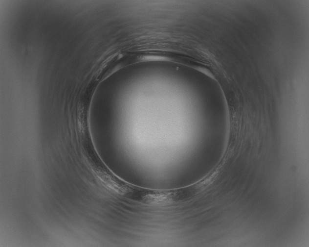 X0000051900170200507011517