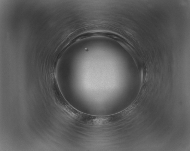 X0000051900172200507011517