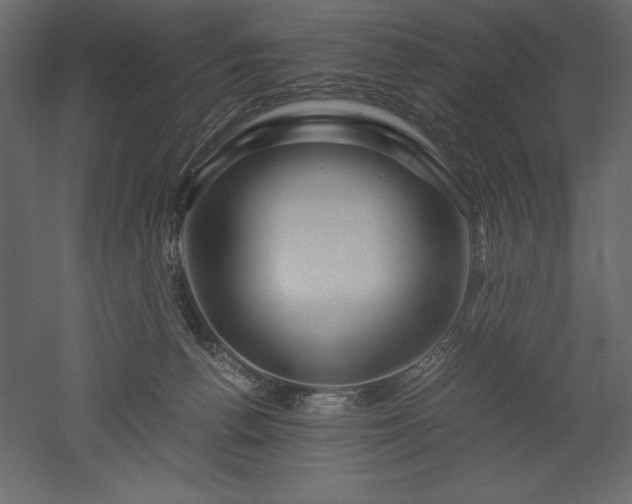 X0000051900176200507011517