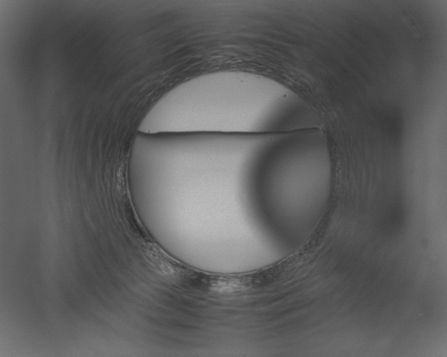 X0000051900177200507011517