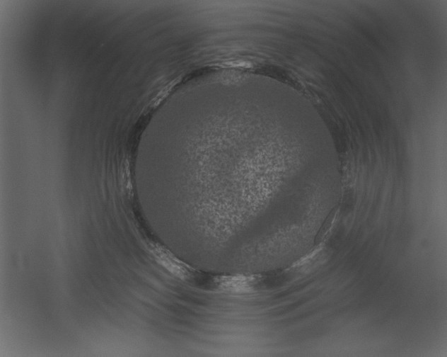 X0000051900182200507011517