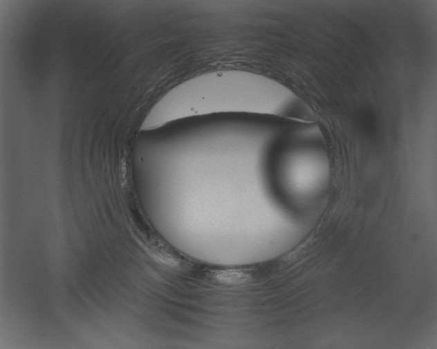 X0000051900183200507011517