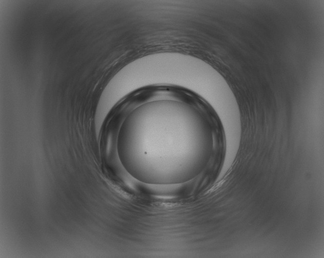 X0000051900184200507011517