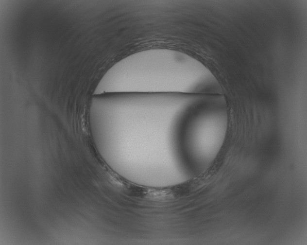 X0000051900185200507011517