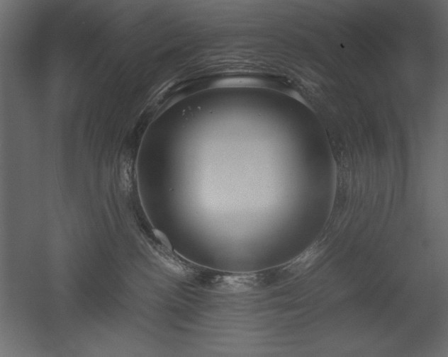 X0000051900188200507011517