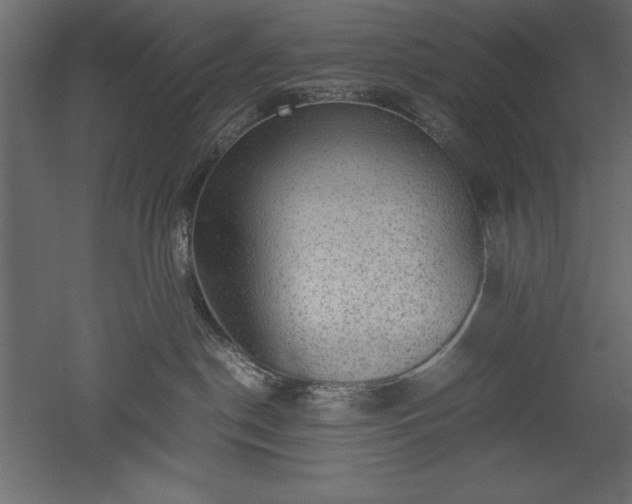 X0000051900190200507011517