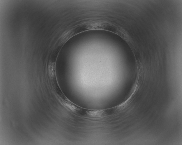 X0000051900191200507011517