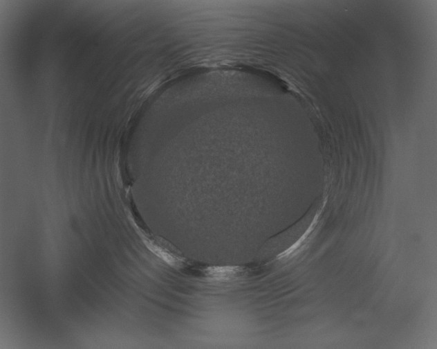 X0000051900192200507011517