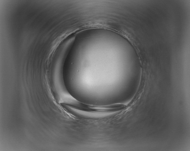 X0000051900193200507011516