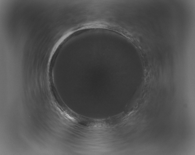 X0000051900200200507011516