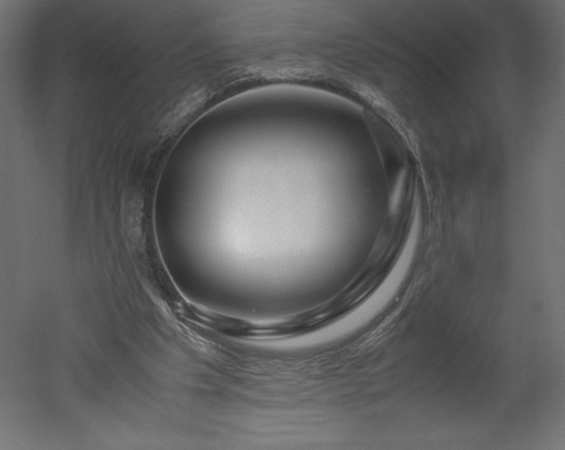 X0000051900201200507011516