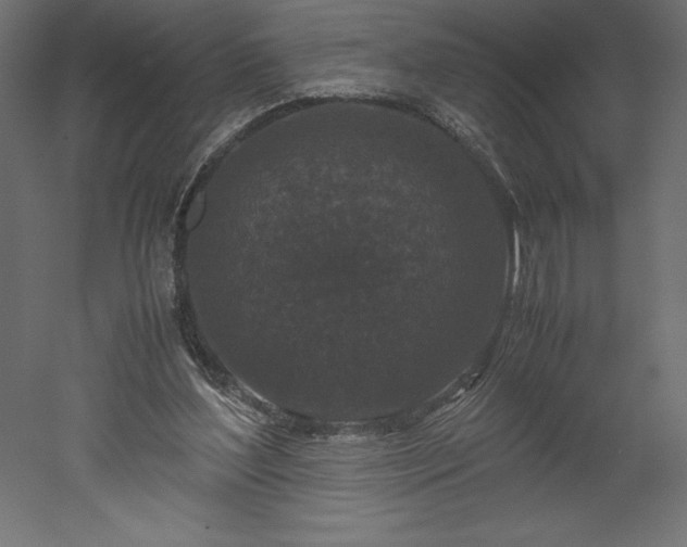X0000051900204200507011516