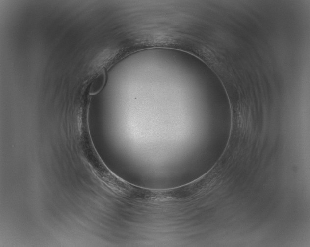 X0000051900206200507011516