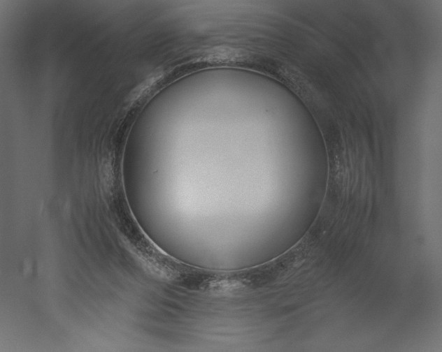 X0000051900208200507011516