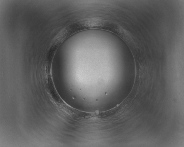 X0000051900210200507011516