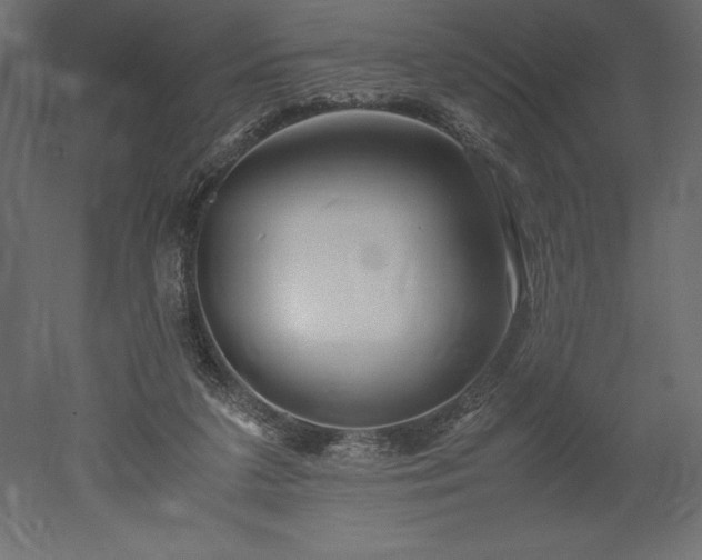 X0000051900211200507011516