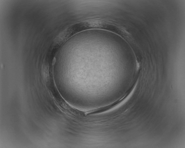 X0000051900213200507011516
