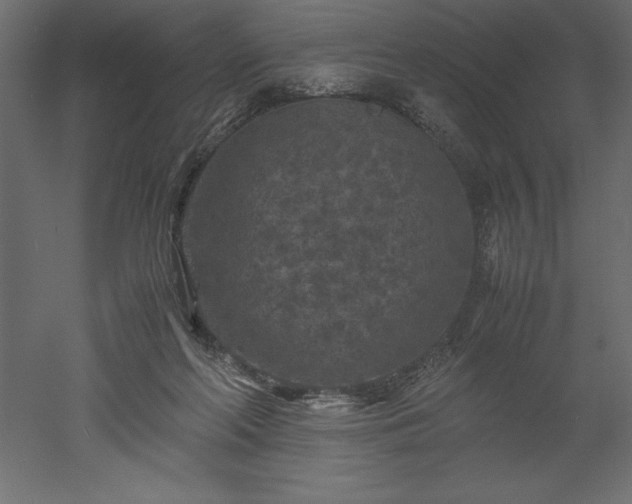 X0000051900214200507011516