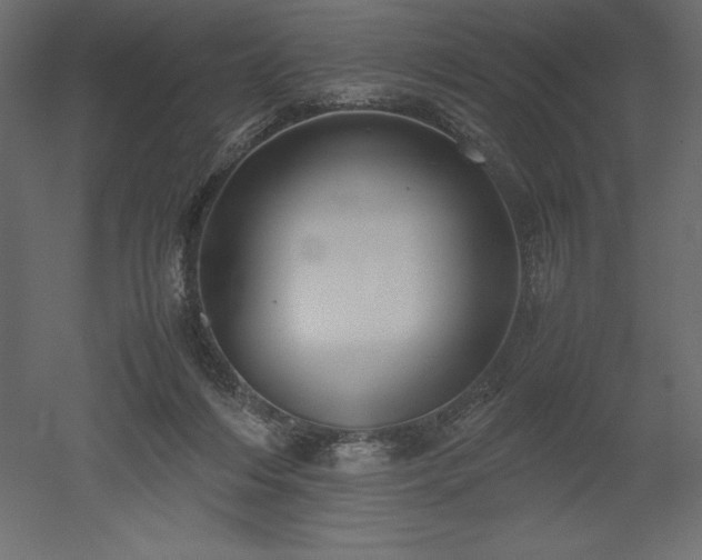 X0000051900216200507011516