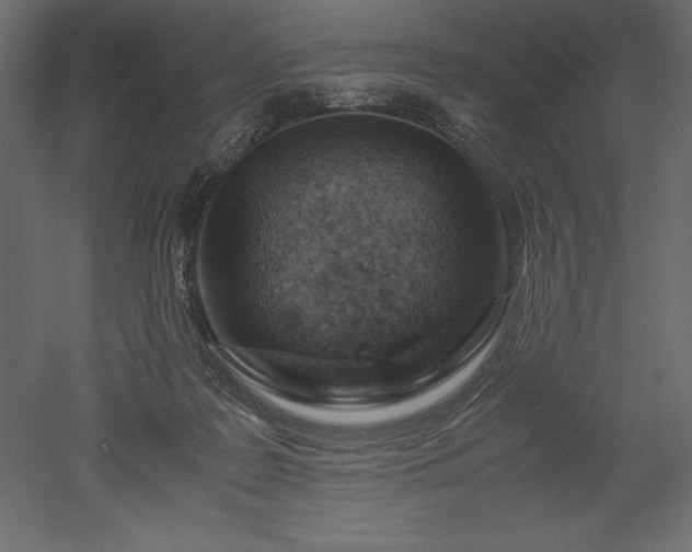 X0000051900219200507011516