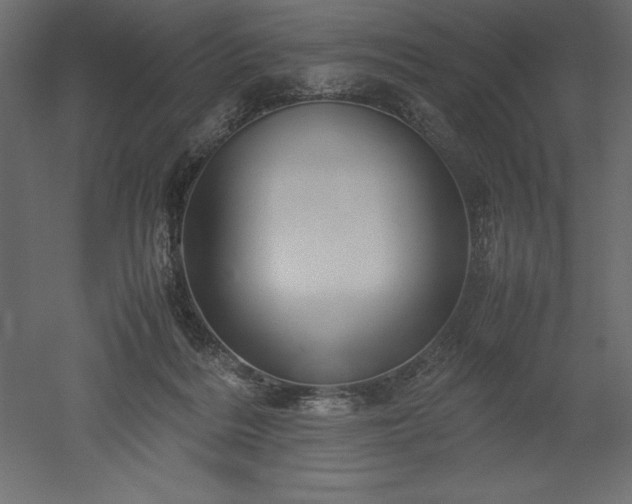 X0000051900220200507011516