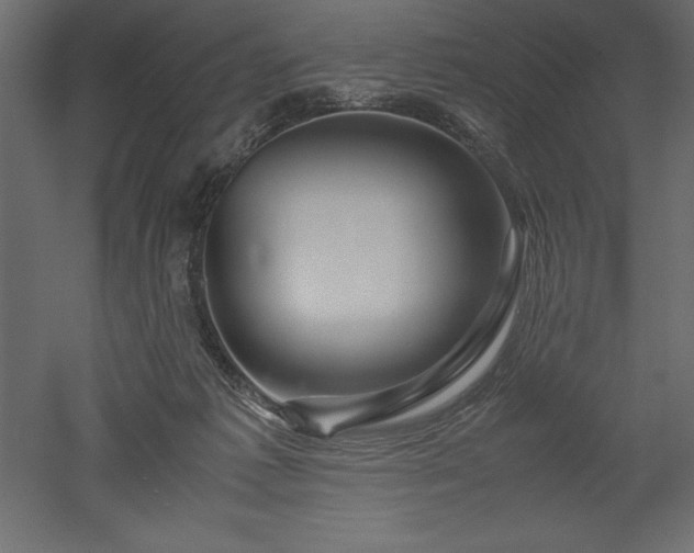 X0000051900221200507011516