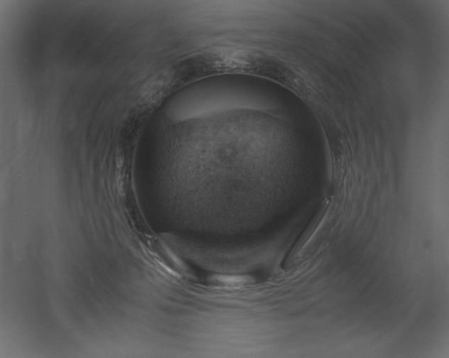 X0000051900223200507011516